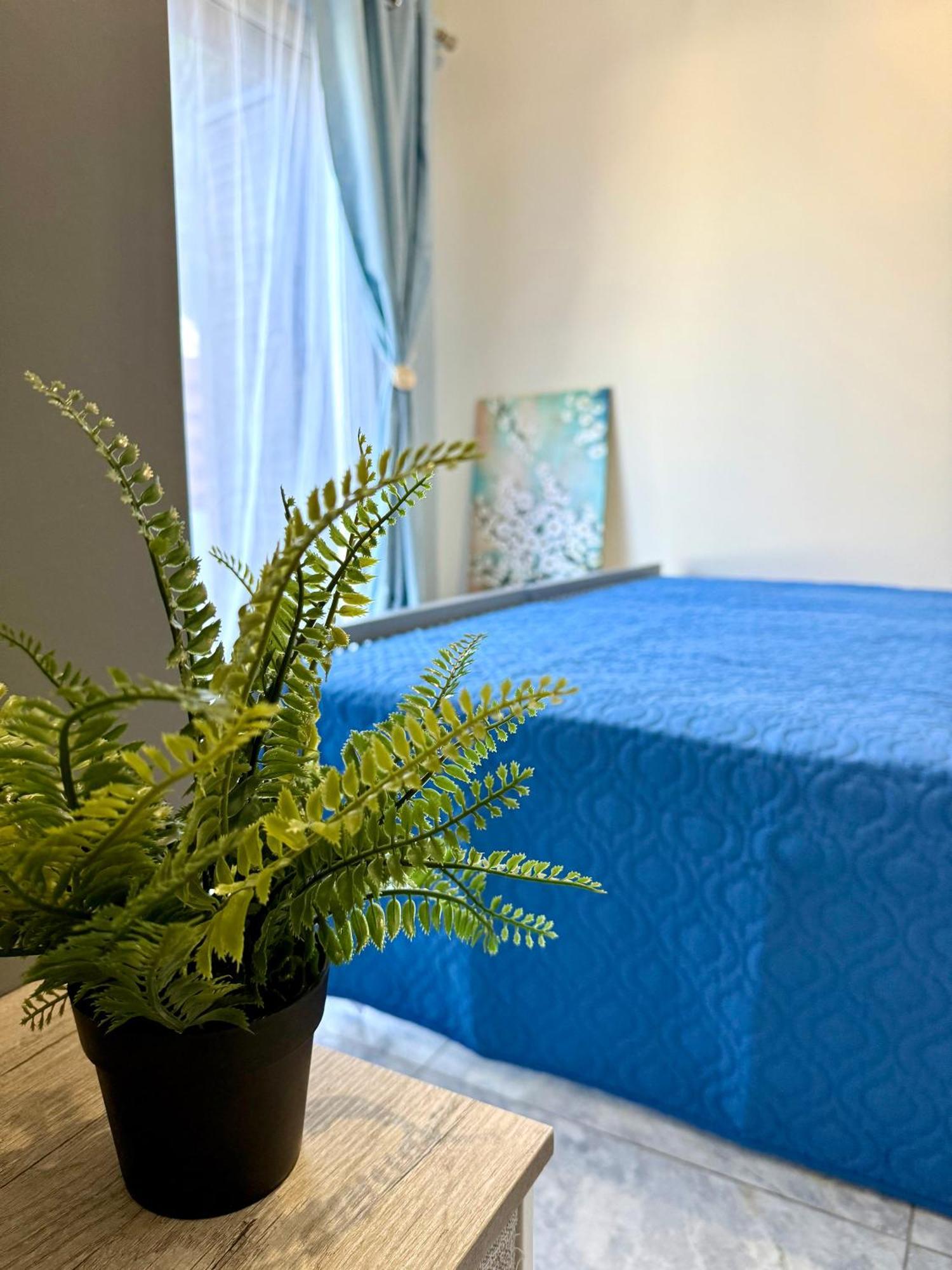 Dub House Apartment Пафос Екстериор снимка